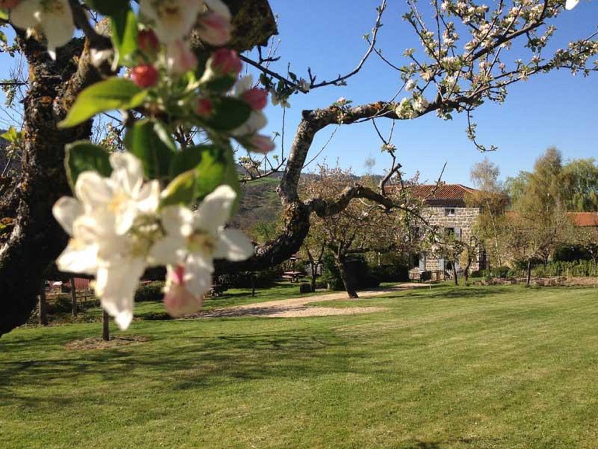 Les Jardins d'Anna - Chambres d'hôtes Tapon Exterior foto